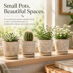 Gepege Ceramic Succulent Pots, 4 Inch Small Plant Pots with Drainage - Image 4