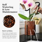 Pot & Pebble C8 Glass Orchid Pot, Metal Base - LECA Semi-Hydro Planter - Image 4