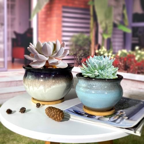 Terrecotta Succulent Pots Round 7 and 5.5 Inch Ceramic Plant Pot for Indoor Plants with Drainage Hole and Saucer Set of 2 (White and Blue) - Image 4