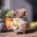 Hand Painted Tall Round Succulent Planter Cactus Planter Pot Clay Pot Flower Pot Floral Design with Bamboo Trays Pack of 4 (3 Inch) - Image 6