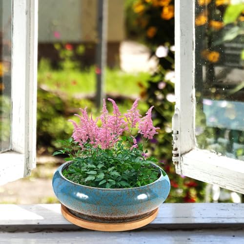2 Sets Ceramic Flower Pot with Tray, Decorative Plants Pots for Succulent - Image 6