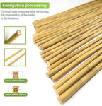 Jollybower 5/8" D 6 Feet Bamboo Stakes 50 Pack, Thicker Heavy-Duty Plant Stakes, Natural Garden Stakes for Bean, Tomato, Bean, Flowers,Trees Potted and Climbing Plant Support - Image 3