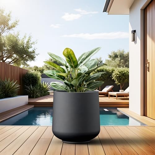 Kante Modern Home Minimalist 16.5" Dia Black Concrete Curved Planter - Image 6