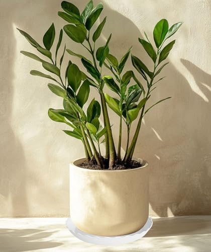 4 Pack of 16 inch Plant Saucer, Depth Large Plant Tray, Heavy Duty Plant Trays for Indoors no Holes, Plastic Pot Tray for Planter (White) - Image 7