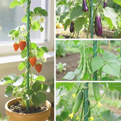 Garden Stakes 7FT, Plastic Coated Steel Plant Stakes Specifically Designed for Climbing Plants, Ideal for Tomatoes, Beans, Cucumbers, Peppers, Vines, and More Plant Growth - Image 6