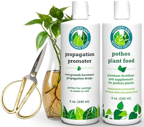 Pothos Prop and Grow Bundle by HOUSEPLANT+RESOURCE+CENTER