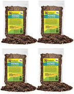 GARDENERA Premium Pothos Potting Soil Mix - Air Cleaning Plant Potting Mix, Soil Mix for Pothos, Parlor Palm, Peace Lily - (2 Quart Bag) by Gardenera