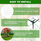 6 Packs Tomato Cages for Garden, 12"×12"×48" Plant Support Cage with Different Spacing, Green Metal Trellis for Climbing Plants Like Cucumber, Flowers - Image 5