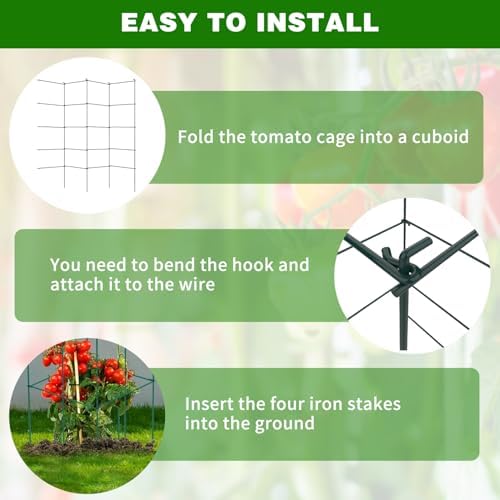 6 Packs Tomato Cages for Garden, 12"×12"×48" Plant Support Cage with Different Spacing, Green Metal Trellis for Climbing Plants Like Cucumber, Flowers - Image 5