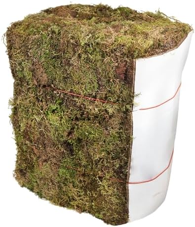 SuperMoss 7 59834 21706 0 Moss, Appx. 25 lb Bale, Natural Dried by SuperMoss