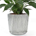 10 Inch Ceramic Plant Pot with Drainage Hole Mesh Net, Large Flower Pots for Indoor Plants with Saucer, Gardening Pots Outdoor (Gray-dot) by Unknown