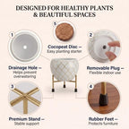 Metal Indoor Planter for Succulents with Drainage Hole and Cocopeat Disc, Set of 2 for Home Decor. (White & Gold) - Image 6