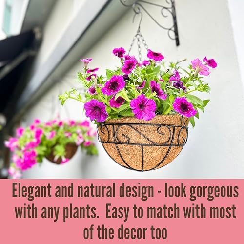 LaLaGreen Porch Hanging Planter (16 in, 6 Pack) Black Metal Garden Pots - Image 7