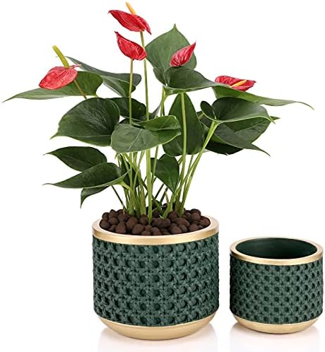6&4.4 Inch Cement Planter Decorative Pots with Drainage Hole for All House Plants, Succulents, Flowers, and Cactus (Gold Green) by Ten-stone