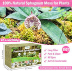 Riare 4.4LB Premium Sphagnum Moss for Plants- 80QT Natural Dried Plant Moss - Image 2