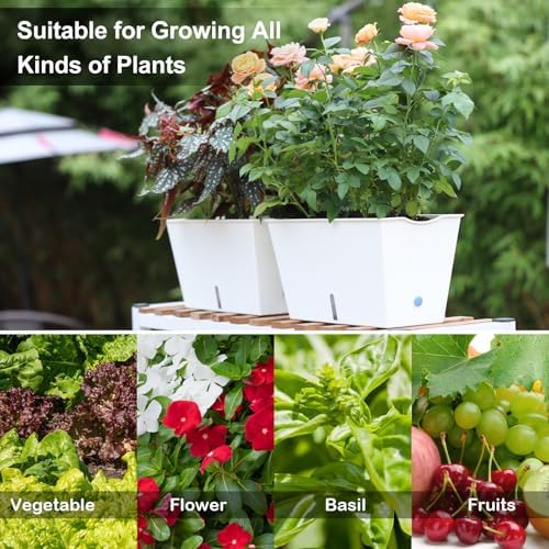 Window Box Planter 6 Pcs, 12.1 Inches Self Watering Plant Pots Rectangle Flower Pots with Drainage Holes and Breathable Trays, Vegetable Planters for Windowsill Patio Garden Balcony Porch Yard (White) - Image 2