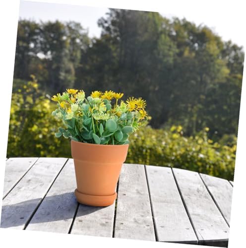 TEHAUX 5pcs Red Pottery Succulent Planter Pots with Saucers, 8x8cm Baked Clay Containers for Indoor and Outdoor Gardening, Breathable Terracotta Flower Pots Set - Image 5