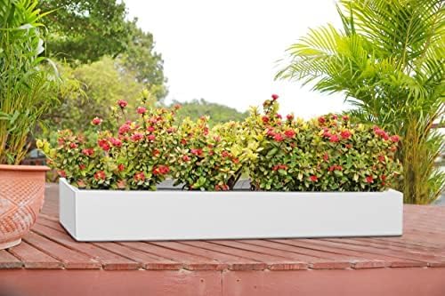Modern Rectangular White Flower Planter - Fiberstone Low Slim Balcony Planter Box,4" H x 6" W x 15" Lg - by Pottery Pots - The Essentials Series - Image 3