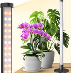 Barrina T10 Standing Grow Light for Indoor Plants, 20W 2FT, Full Spectrum by Barrina