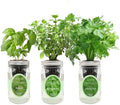 Hydroponic Herb Growing Kit Set, Self-Watering Mason Jar Herb Garden Starter Kit Indoor, Window Herbs Garden, Grow Your Own Plants from Organic Seeds (Basil, Parsley and Oregano) by Environet