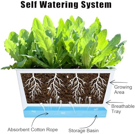 Window Box Planter 6 Pcs, 12.1 Inches Self Watering Plant Pots Rectangle Flower Pots with Drainage Holes and Breathable Trays, Vegetable Planters for Windowsill Patio Garden Balcony Porch Yard (White) - Image 4