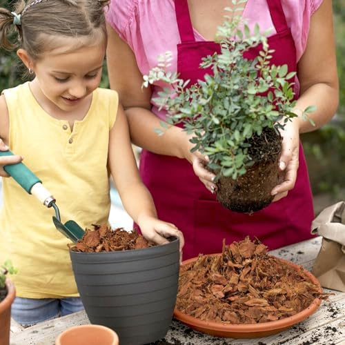 Halatool 10LBS Coco Husk Chips for Plants, Organic Coconut Mulch for Maintaining Moisture and Air & Absorb Water, Compressed Coco Soil Mix for Houseplant, Garden, Landscaping, Reptile Substrate - Image 6