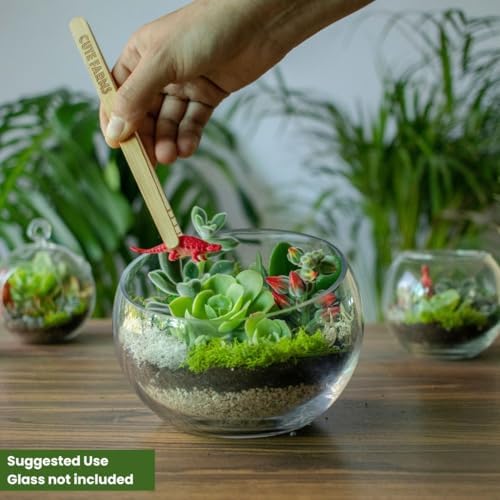 Cute Farms Terrarium Starter Kit | Moss, Vermiculite, Soil, Pebbles, Plant Food, & Finishing Tools (Large + 8 Live Plants) - Image 2