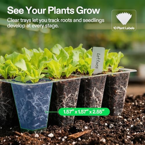 VIVOSUN 24-Pack Seed Starter Trays, 144-Cell Seed Starter Kit with Humidity Dome, Flat Reusable Plant Germination Trays with Drain Hole, Green Propagation Tray for Planting Seeds - Image 3