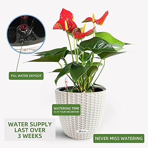 Dexceder 9x8 Self Watering Planter (Ivory White Rattan) - Image 5