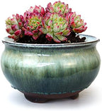 8 Inch Succulent Pot with Drainage and Saucer Glazed Terracotta Round Ceramic Succulent Planter Cactus Bonsai Plant Pot (White and Green) by SUMMERIMPRESSIONS