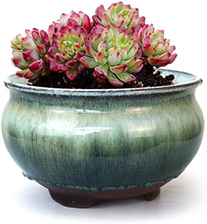 8 Inch Succulent Pot with Drainage and Saucer Glazed Terracotta Round Ceramic Succulent Planter Cactus Bonsai Plant Pot (White and Green) by SUMMERIMPRESSIONS