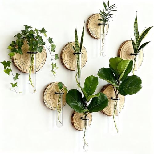 Wall Mounted Test Tube Vase with Natural Wood Slice Base, Hanging Propagation Station for Plants, Rustic Boho Home Decor (6pc Multicolor) - Image 4