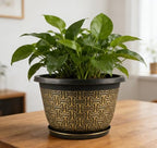 Nooulap 8 Inch Plant Pots, 4 Pack Flower Pot Outdoor - Image 2