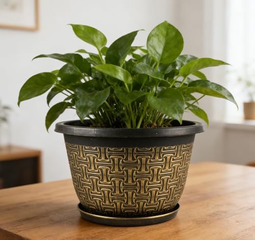 Nooulap 8 Inch Plant Pots, 4 Pack Flower Pot Outdoor - Image 2