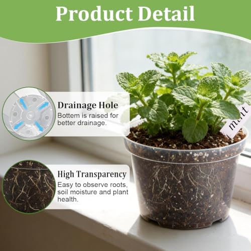 RooTrimmer 15 Pack 8/6/4 Inch Clear Nursery Pots with Drainage Hole, Transparent Plastic Plant pots, Sturdy Planting Starter Pots for Seedlings Herbs Flowers Vegetable (Clear-15P) - Image 3