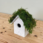 Sheet Moss, Preserved Moss, Green, Medium 2-Pack - Image 7