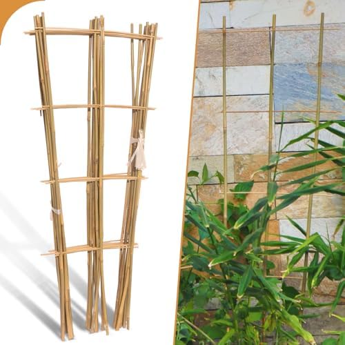 10 Pack 3ft Bamboo Trellis for Climbing Plants, Fan-Shaped Garden Support by Biotolot