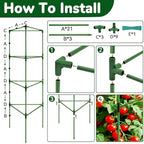 ZeeDix 6 Pack 65 Inch Heavy Duty Tall Tomato Cages for Garden - Image 7
