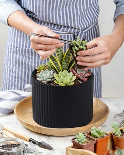 Matte Black Ceramic Plant Pots, 8.1 + 6 Inch Planters for Indoor Plants, Modern Flower Pots with Drainage, Two-Sizes Set - Image 7