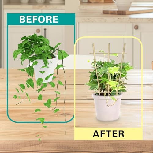 Bamboo Trellis 10 Pack, 36 Inches/3FT S3 Natural Bamboo Plant Fan Stakes, Fan-Shaped Plant Support Stand for Orchid Vines, Monarchs, Ivy and Other Plants Climbing, Help Plant Growth - Image 5