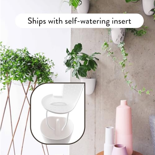 Make Good PlantPod Luxe - Self-Watering Wall Planters (Set of 6) - Easy to Water and Install - Lightweight - Design Your Own Vertical Garden - Wall Planters for Indoor Plants - Image 3