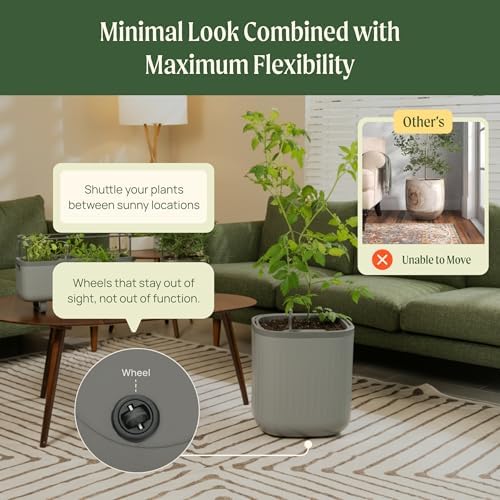 15 Inch Self-Watering Planter for Indoor Plants – Large Modern Plant Pot with Built-In Water Reservoir, Ideal for Monstera, Fiddle Leaf Fig, Palms & Peace Lily, Without Trellis (1, Cream White) - Image 6