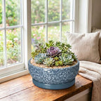 10 Inch Ceramic Bonsai Pots with Saucer, Scale Blue - Image 3