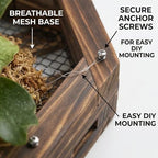 Staghorn Fern Mounting Kit - Wood Wall Planter for Orchids,Herbs & Indoor Plants | Hanging Plant Holder, Basket & Stand for Wall Decor(10.43inch) - Image 4