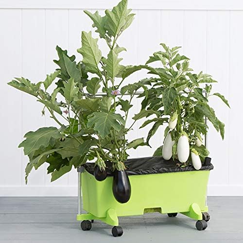 EarthBox 81034.06 System, Margarita, 3 ft. Garden Stakes, 3-Foot - Image 2