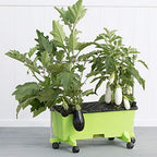 EarthBox 81034.06 System, Margarita, 3 ft. Garden Stakes, 3-Foot - Image 2
