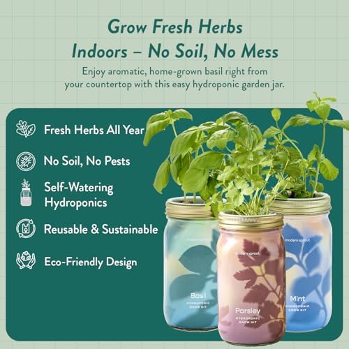 Modern Sprout Garden Jar Gift Pack - Hydroponic Kit - Basil, Parsley & Mint - Image 2