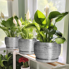 SQOWL Ceramic Plant Pots - 6 Inch Planter for Indoor Outdoor Plants, Modern Round Flower Pots with Drainage Hole and Saucer, Decorative Small Planter, Office Decor, Gifts for Women Men, Silver - Image 5