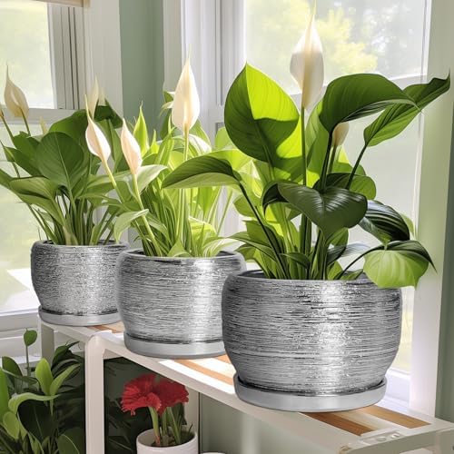 SQOWL Ceramic Pot for Plants - 8 Inch Planter with Drainage Hole and Saucer, Round Planter Indoor Outdoor, Modern Decorative Flower Pot, House Decor, Gifts for Plant Lovers, Silver - Image 6