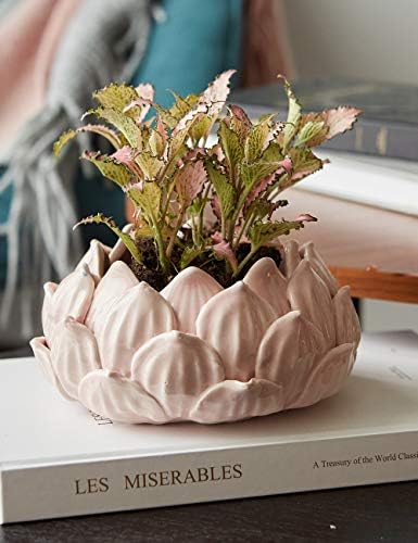 SEINHIJO Indoor Planter Succulent Cactus Pot Ceramic Storage Tray 7.1 Inch - Image 2